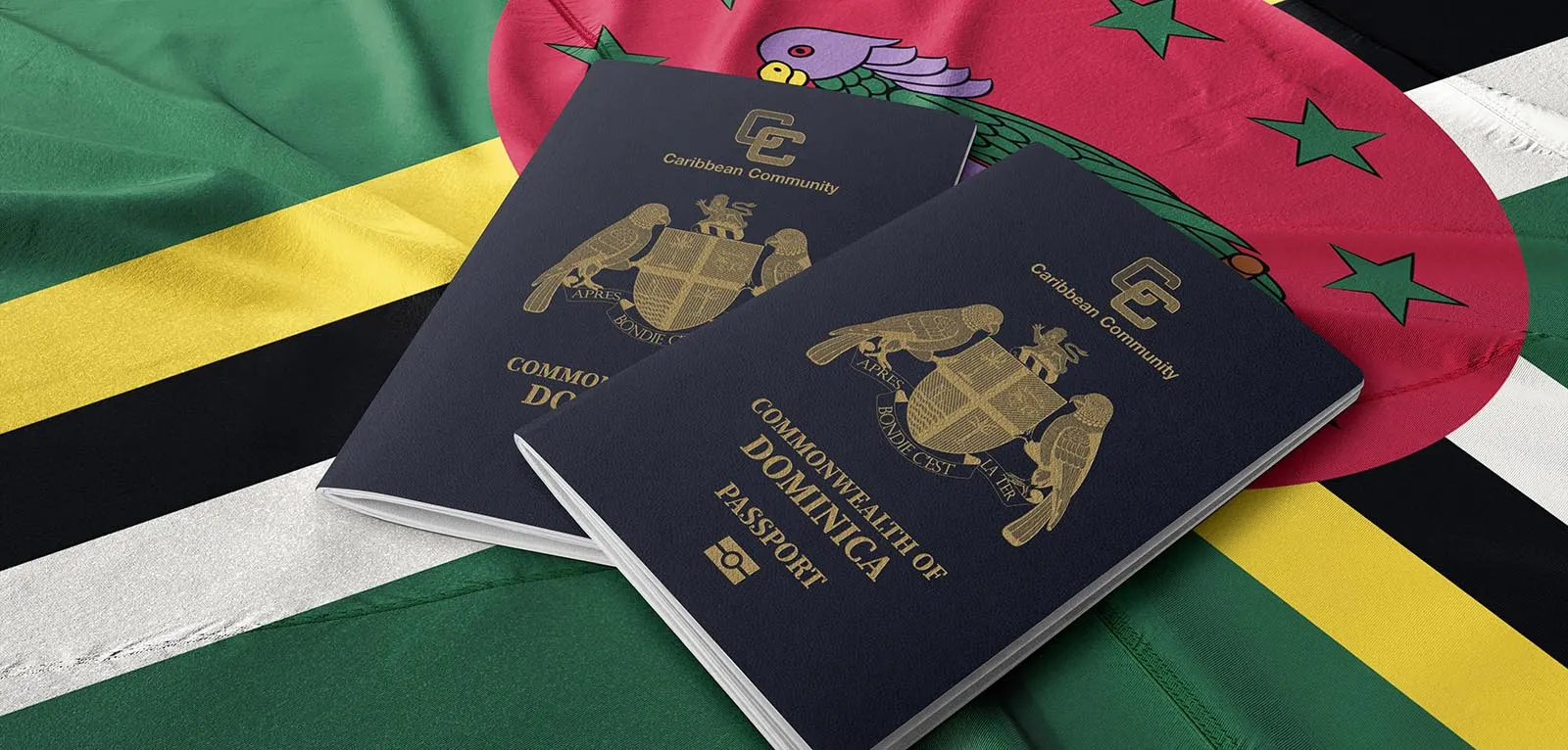 پاسپورت دومینیکا رابین تراول